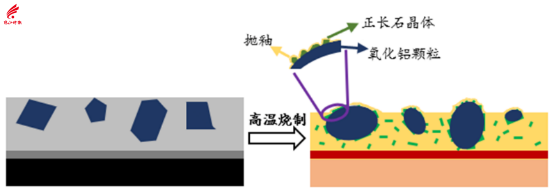 湿态防滑陶瓷砖“三级结构”示意图.png