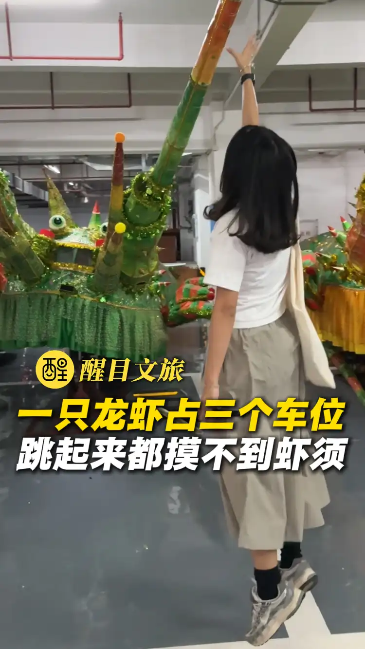 一只龙虾占三个车位 跳起来都摸不到虾须
