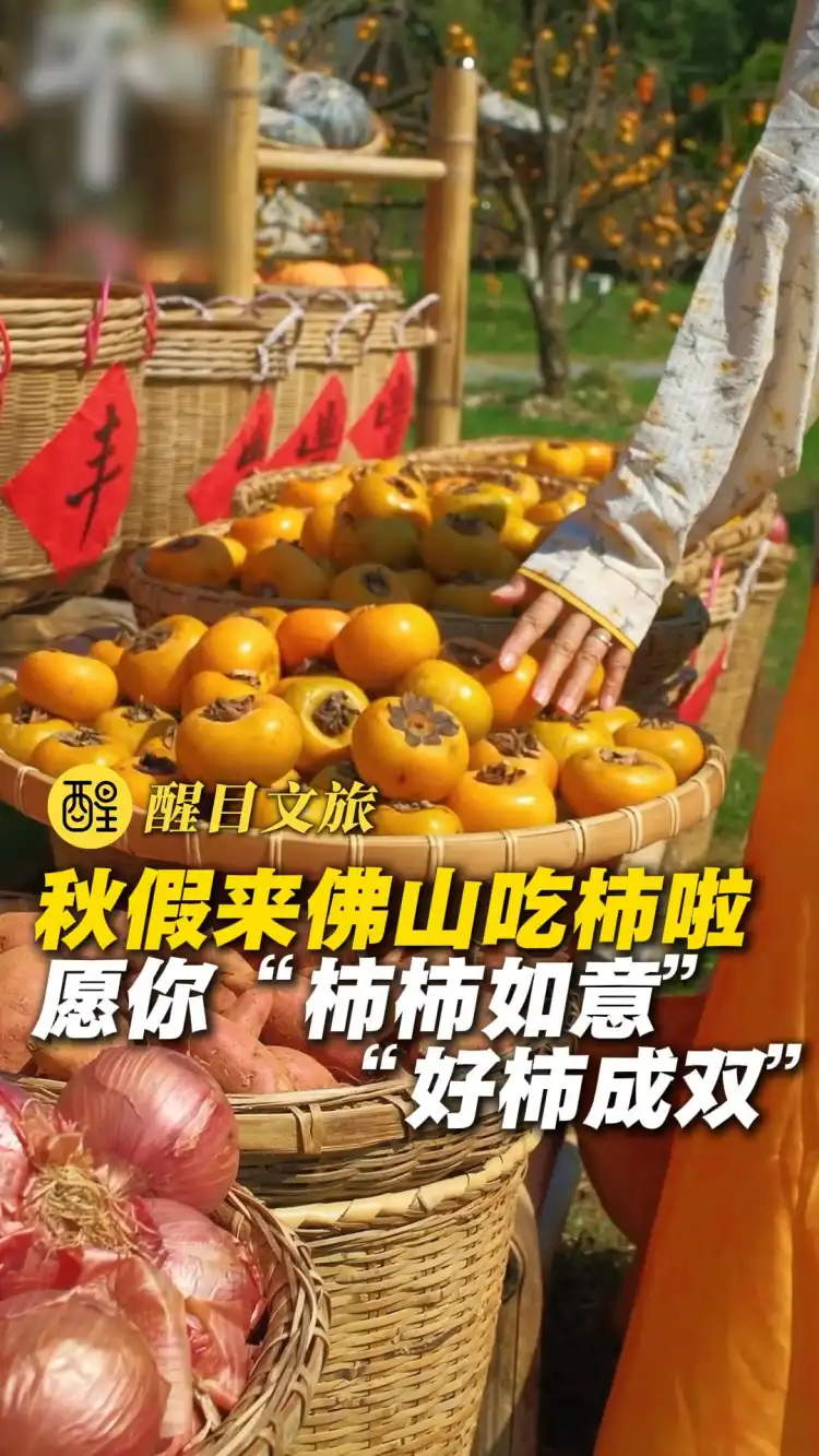 秋假来佛山吃柿啦
愿你“柿柿如意”“好柿成双”