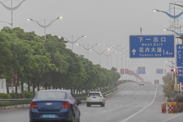 佛山顺德佛陈路上,轻雾绕城,能见度不高。图/佛山日报记者王伟楠摄
