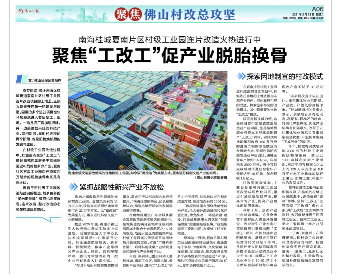 阳桦2.jpg