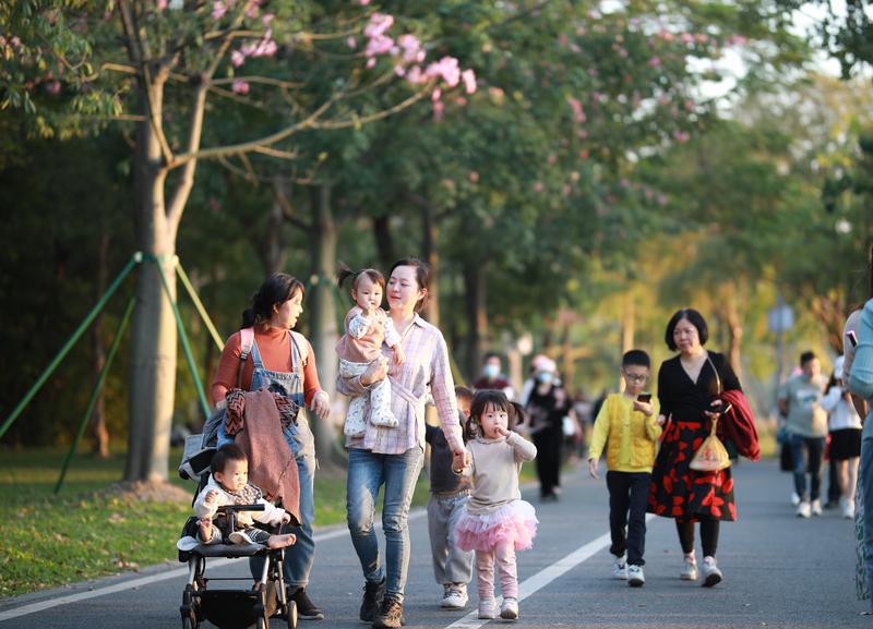11月14日,天气晴好,许多市民在顺德区顺峰山公园游玩,享受阳光。/佛山日报记者张弘弢摄
