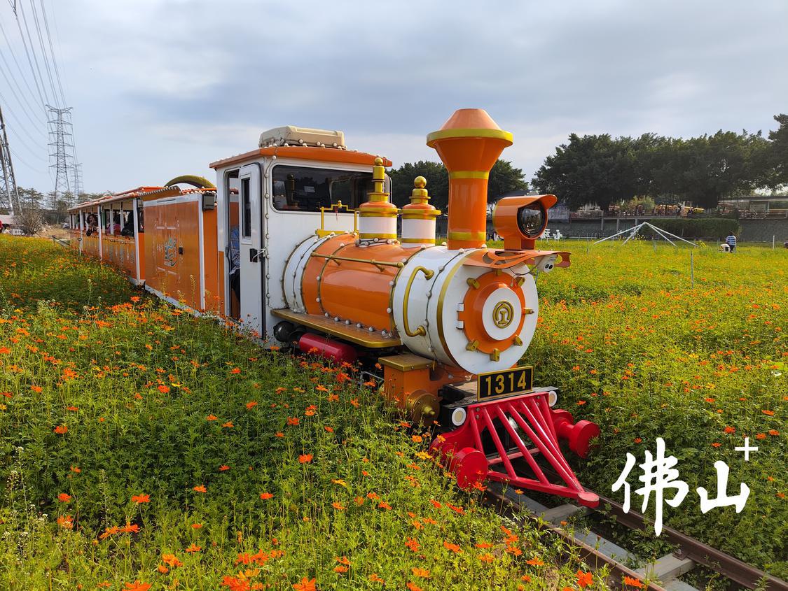 微信图片_20250131113408.jpg