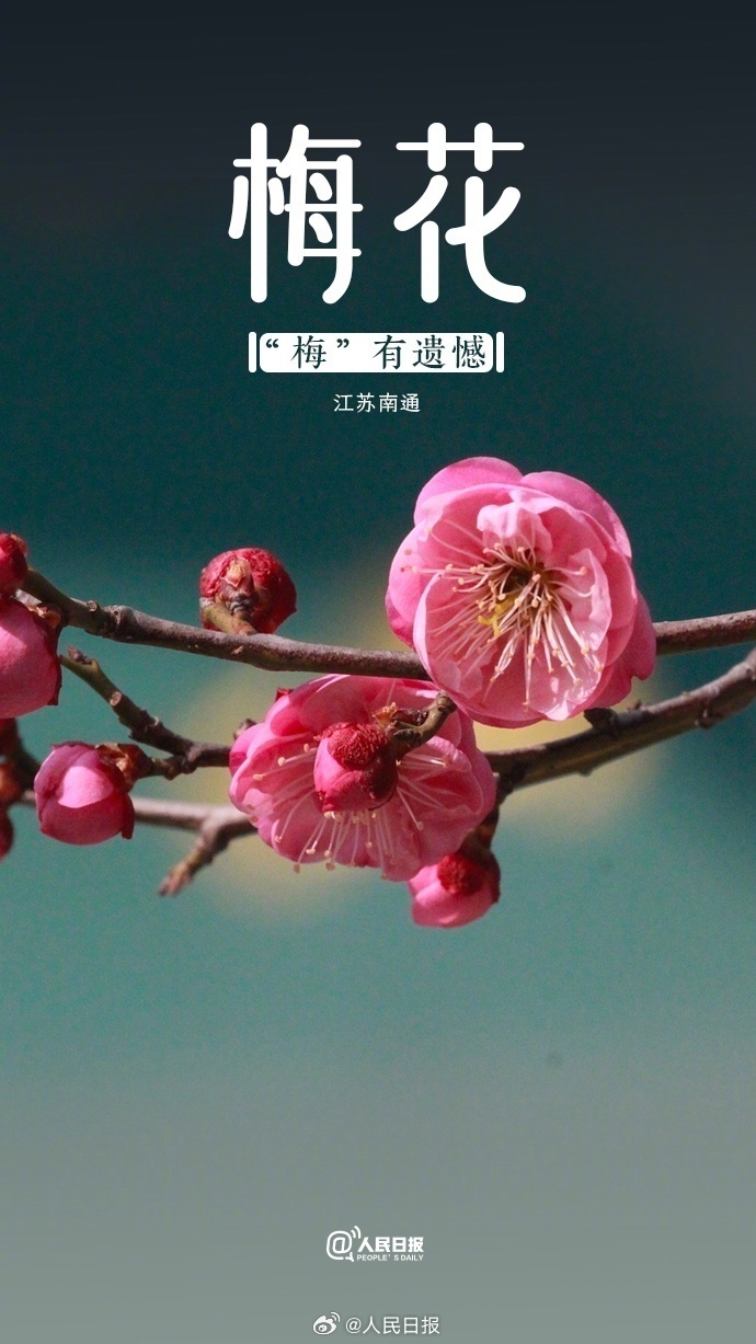 22f51dc30bb65c8cd7235e41ef00fef.png?x-oss-process=style/w10