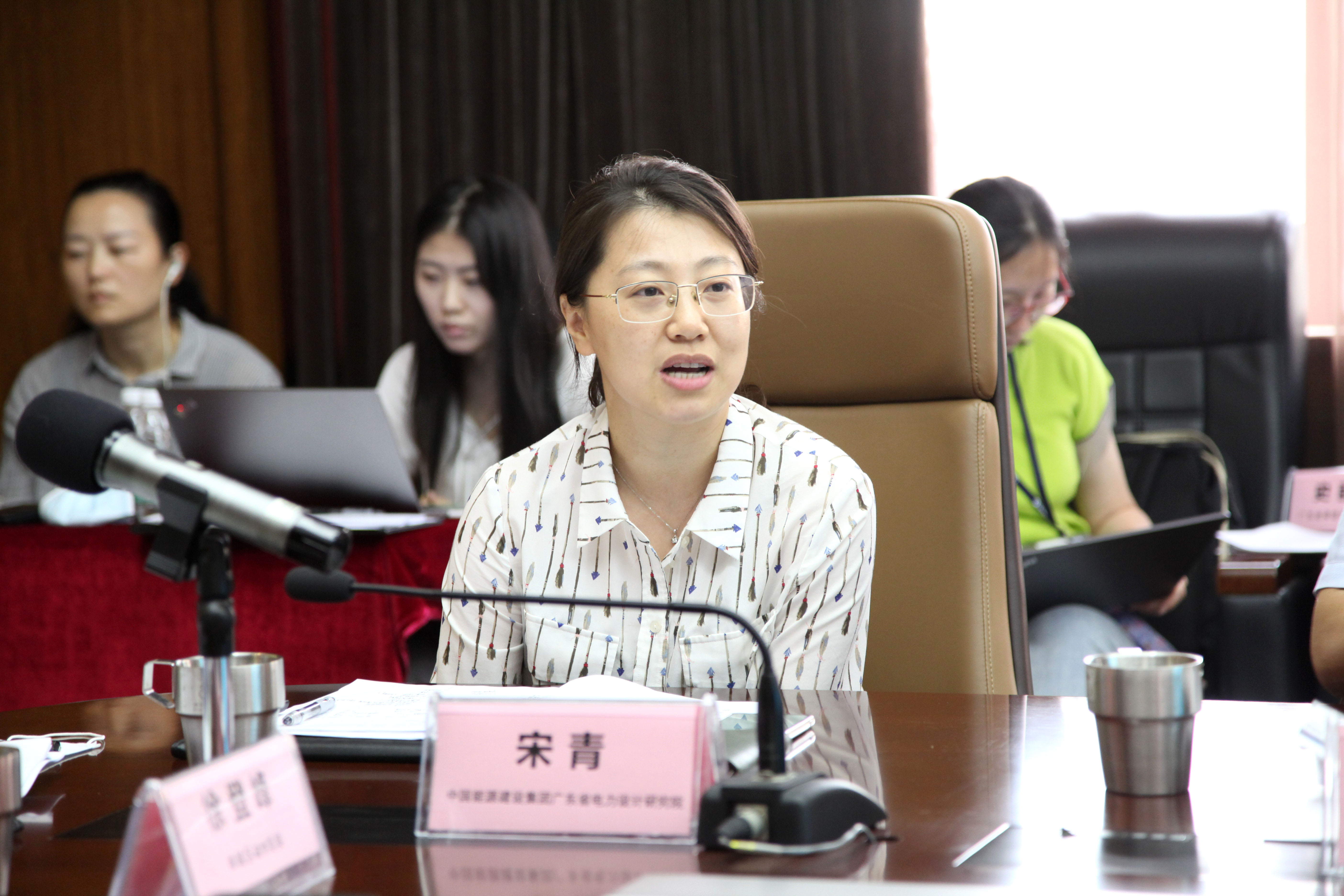 16-专家代表-中国能源建设集团广东省电力设计研究院高级工程师、注册造价工程师宋青