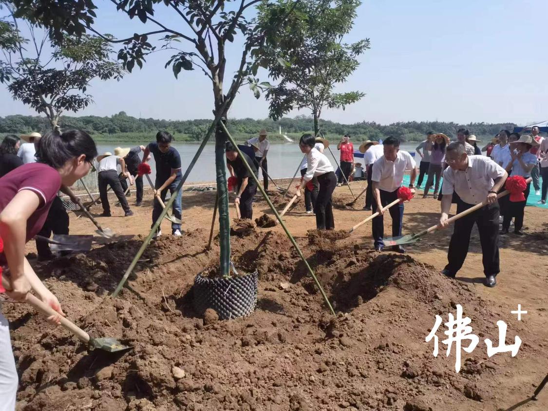 参与人员纷纷拿起铁锹进行铲土,为种植树苗做准备。.jpg