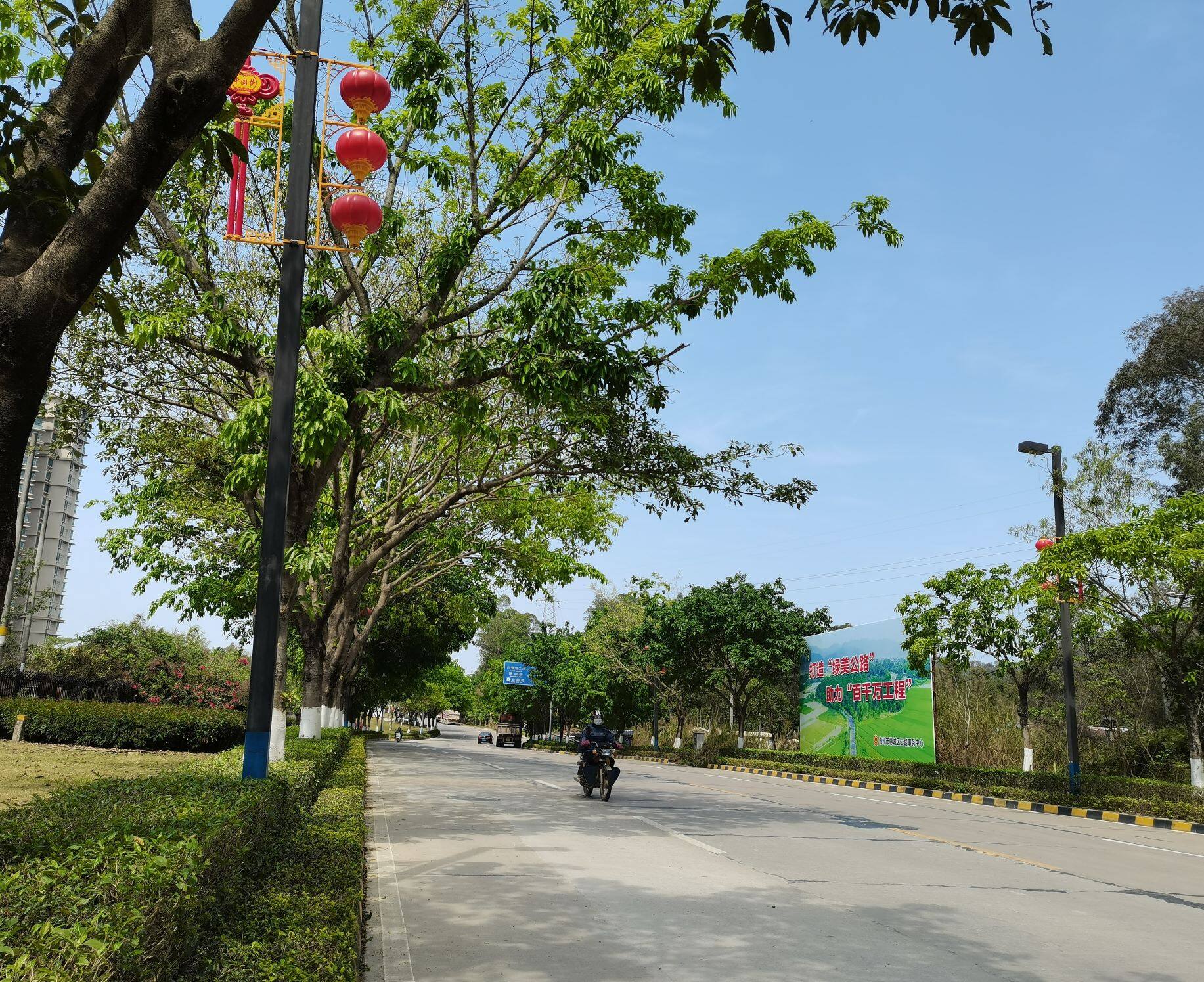 汝湖大良路被评为最美农村公路。