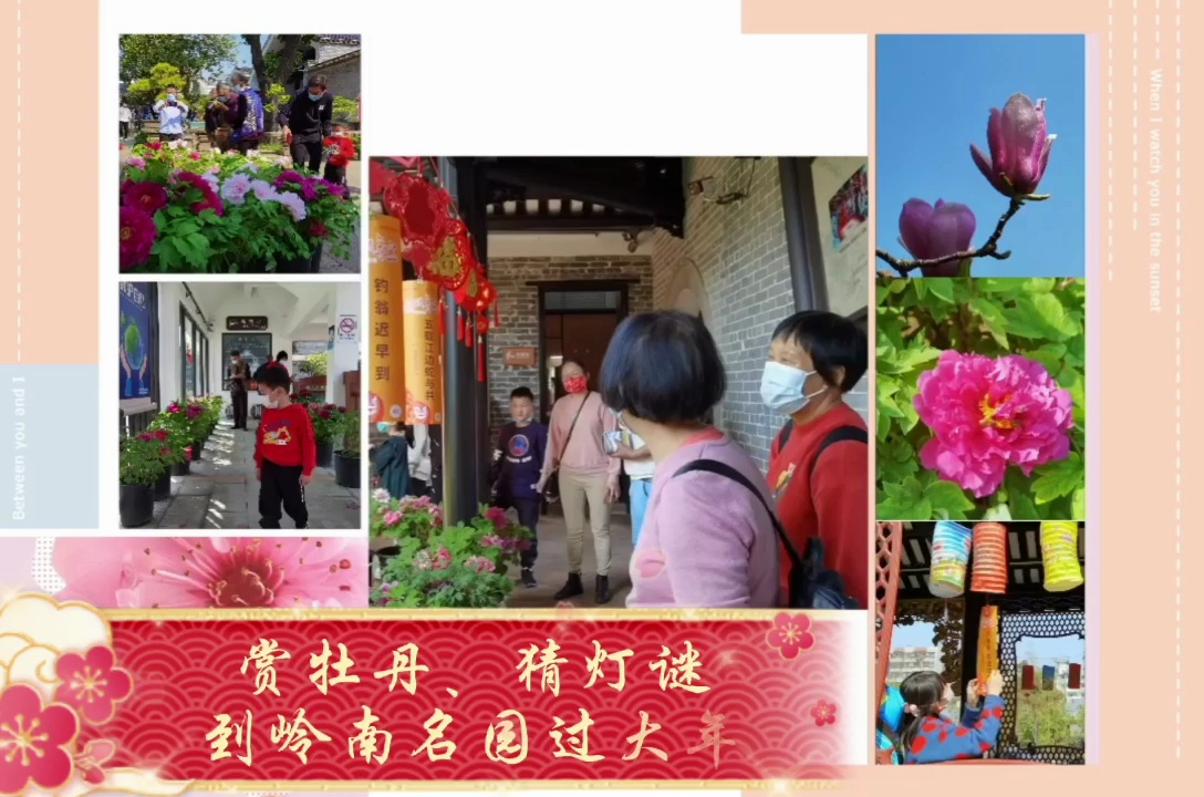 岭南春来早,新春踏春去,市民到岭南名园梁园赏花踏春过大年。视频/佛山日报记者黎红玲摄制