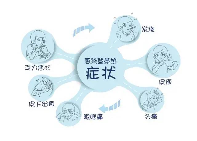 登革热典型临床表现.jpg