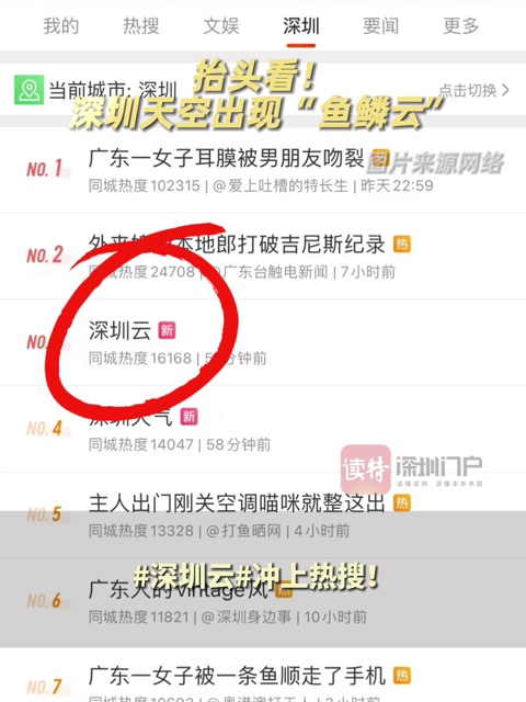 冲上热搜！深圳天空出现“鱼鳞云”