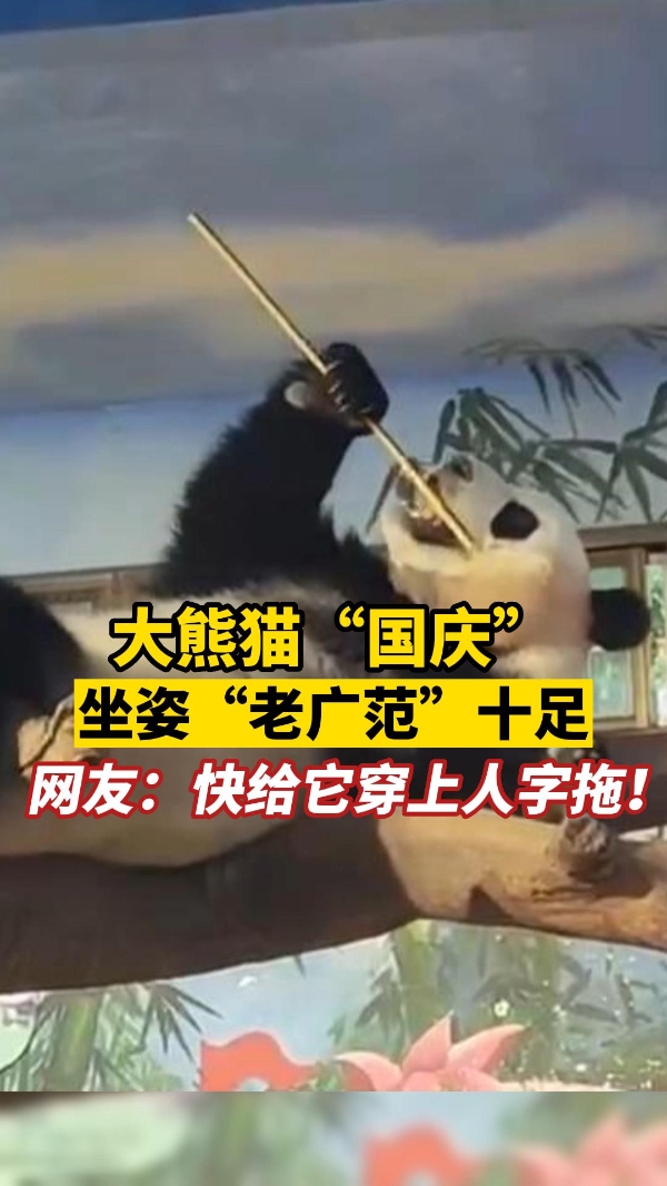 确认过姿势，这是一只“广式大熊猫”，网友：快给它穿上人字拖！