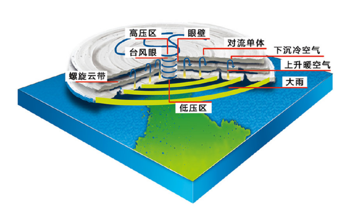 台风内部结构.png