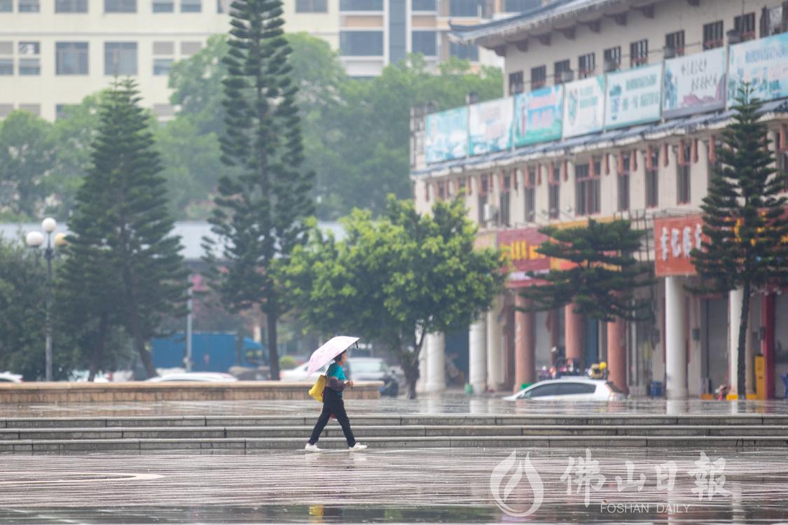 2月13日下午，高明迎来降水，市民撑着雨(4201151)-20230213200545.jpg