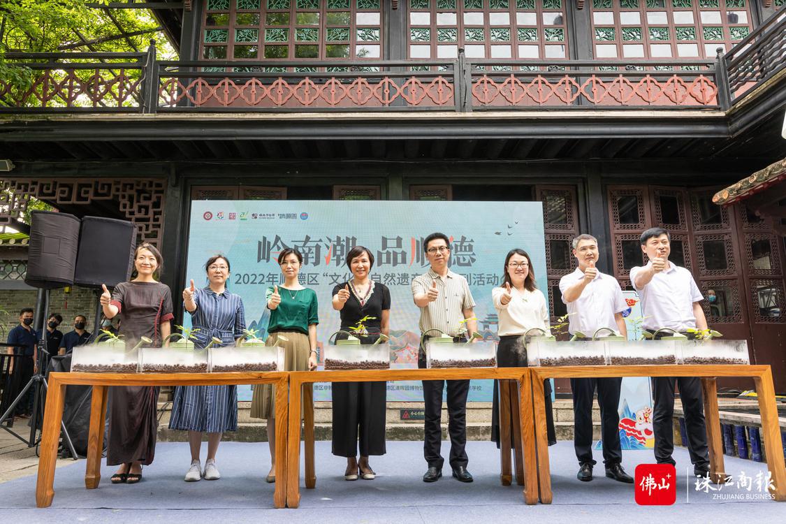 6月10日，“岭南潮 品顺德”——2022顺德区“文化和自然遗产日”系列活动在清晖园博物馆举行，领导嘉宾宣布活动启动并为清晖园225年龙眼树苗开枝灌溉。珠江商报记者林安迪摄 (1).jpg