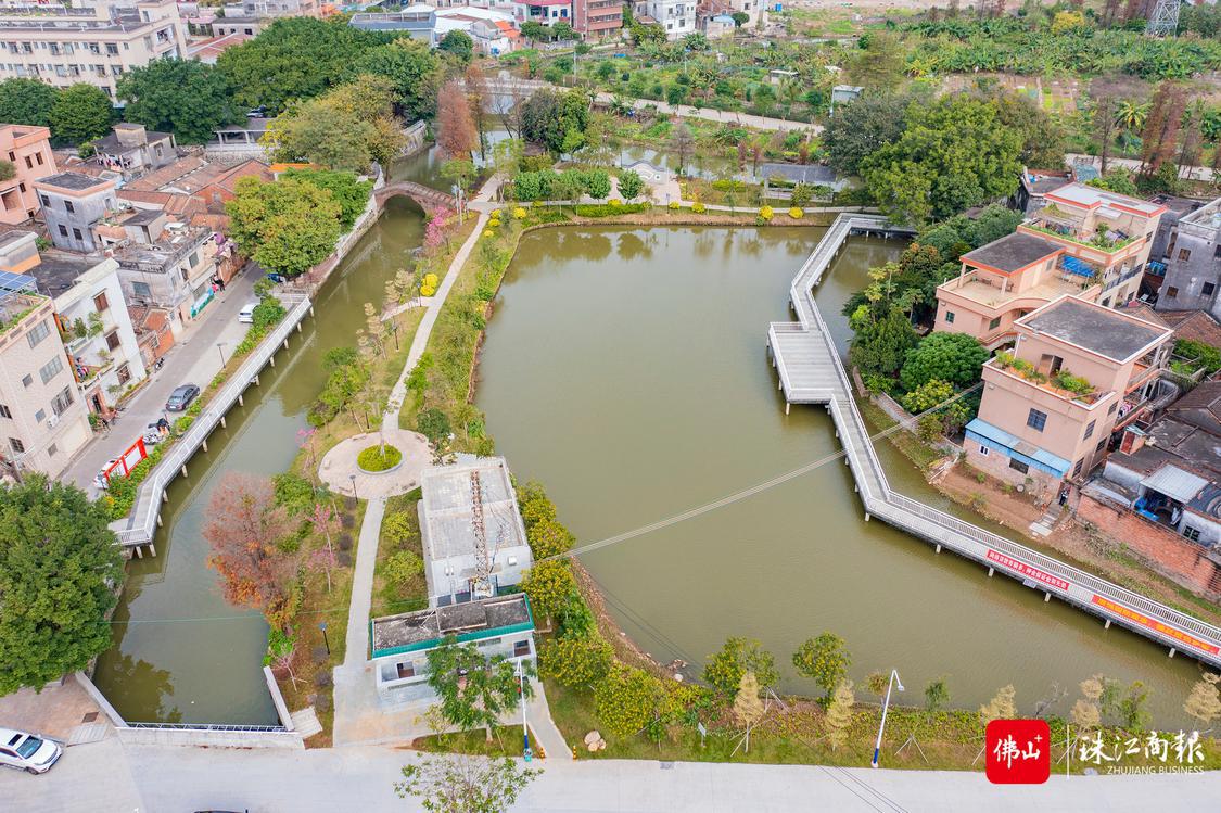 西华村“美城”微改造项目极大提高了该村的颜值和改善了生态环境。珠江商报记者朱德文摄(1).jpg