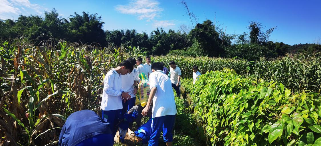 undefined