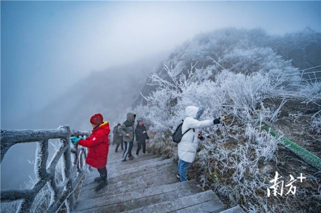 金子山是广东游客看雪的打卡之地。