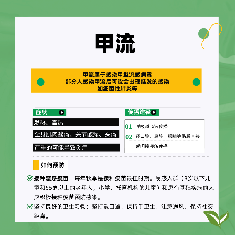 甲流.png