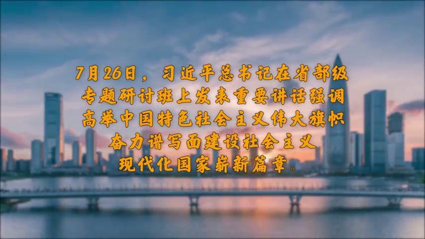 湾区深音 | 谭刚：在新征程中发挥好深圳先行示范区作用