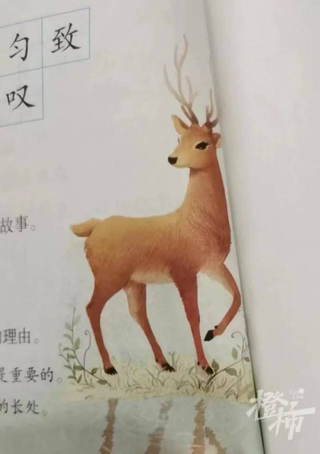 现在的插图
