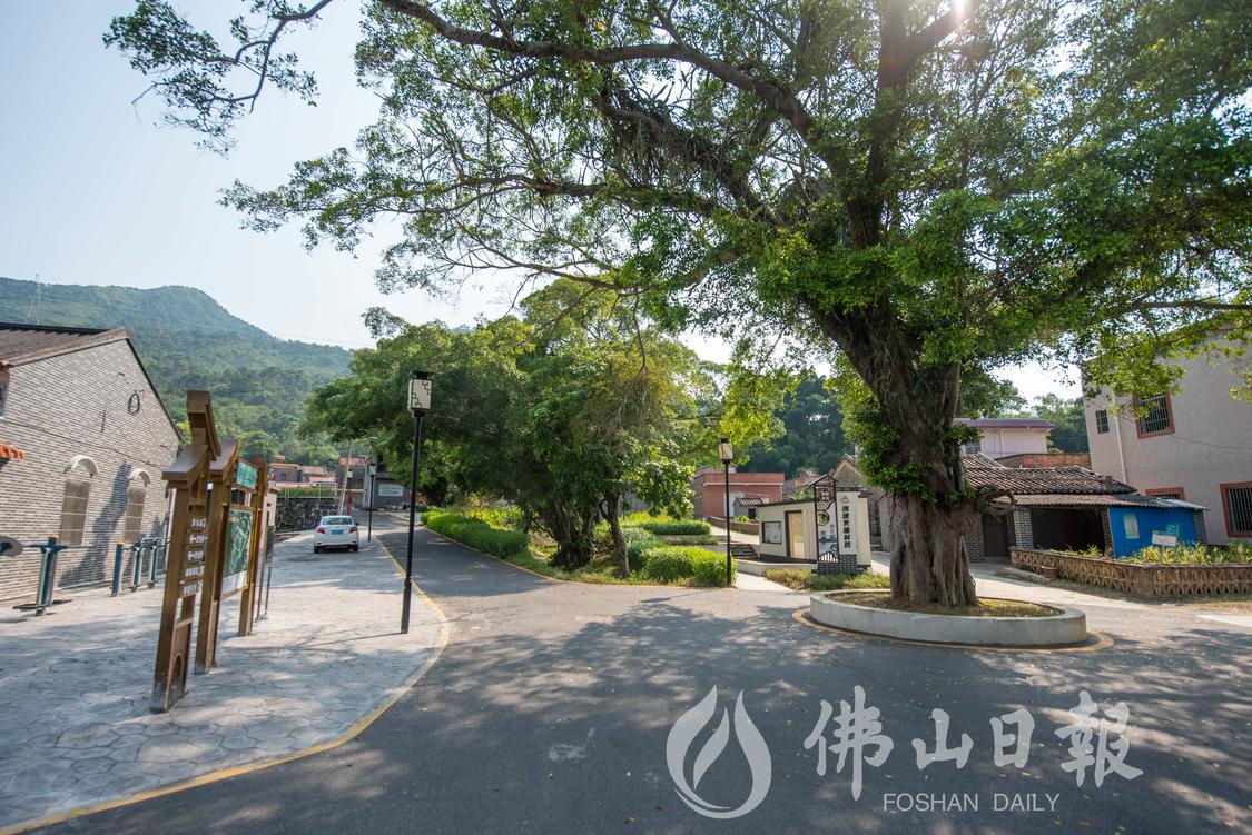 石洲村内干净整洁的人居环境。佛山日报记者(3246494)-20230217205510.jpg