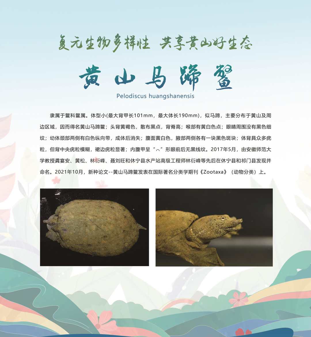 微信图片_20230520185623.jpg?x-oss-process=style/w10
