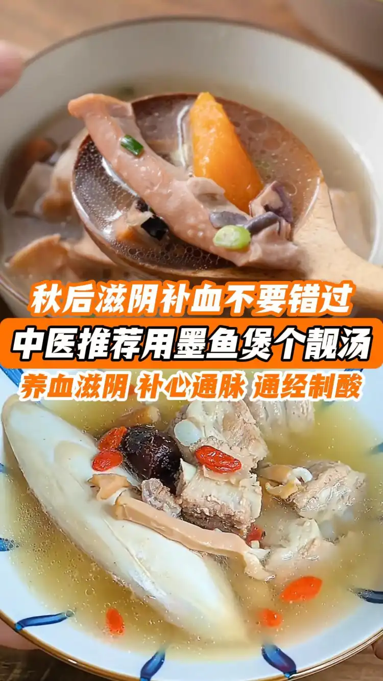 秋后滋阴补血不要错过,中医推荐用墨鱼煲个靓汤,养血滋阴、补心通脉、通经制酸。