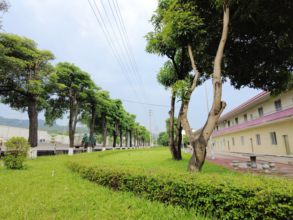 博罗四角楼片区道路交通环境不断优化。 博罗四角楼片区道路交通环境不断优化。