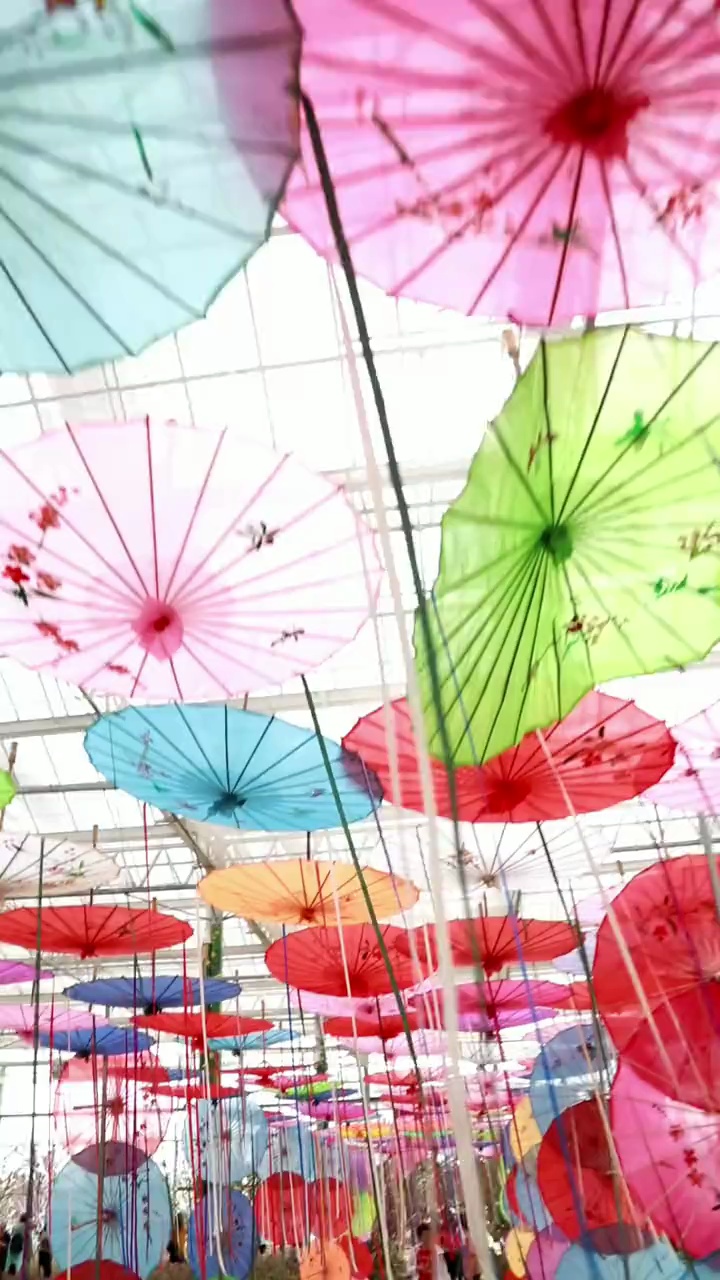 近日,里水镇梦里水乡百花园举办首届樱花樱花旅游艺术节,让市民在佛山本地也能观赏到灿烂樱花。樱花节举办仅一周就吸引了4.5万游客前往打卡。记者在现场看到不仅有盛开的樱花,还有各种各样的鲜花,百花齐放,春色满园。视频/佛山日报记者吕润致制作
视频/佛山日报记者吕润致制作