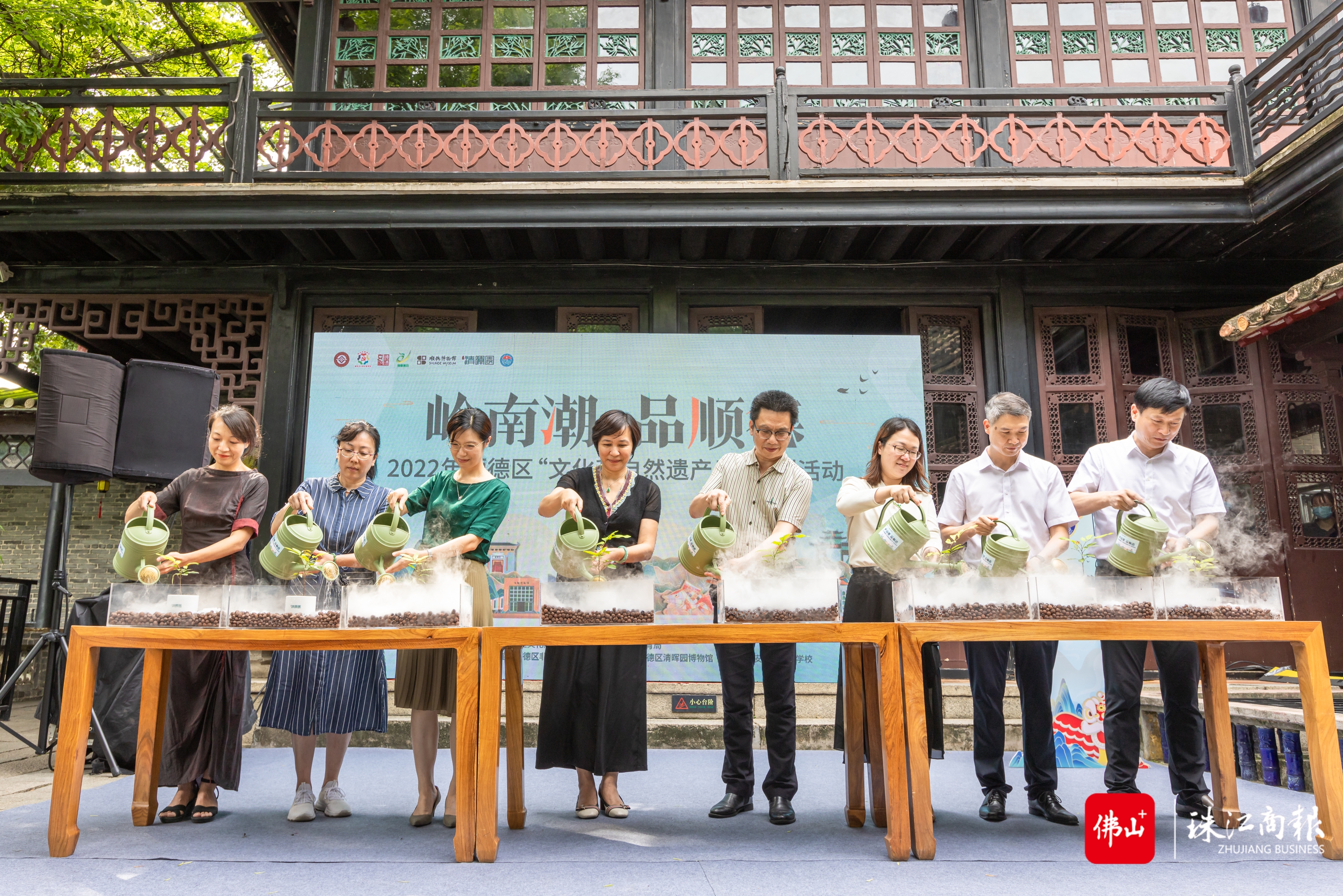 6月10日，“岭南潮 品顺德”——2022顺德区“文化和自然遗产日”系列活动在清晖园博物馆举行，领导嘉宾宣布活动启动并为清晖园225年龙眼树苗开枝灌溉。珠江商报记者林安迪摄 (2).jpg