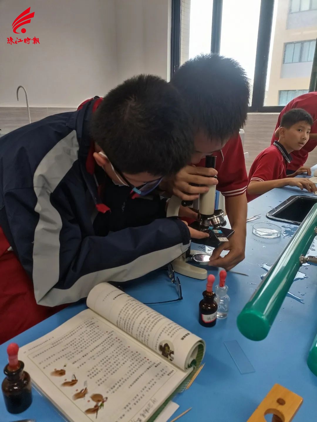 学生通过显微镜观察细胞的结构形态1.jpg