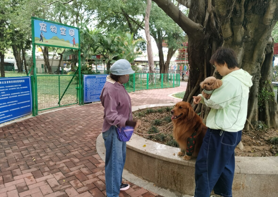 市民带着狗狗准备进入滨江公园宠物空间遛狗,这是年初公园专门为方便市民遛狗开辟的宠物空间。 市民带着狗狗准备进入滨江公园宠物空间遛狗,这是年初公园专门为方便市民遛狗开辟的宠物空间。