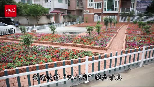 视频 | “四小园”建设刷新乡村颜值!