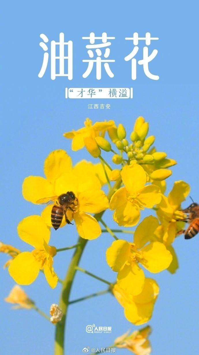 7df4d95af145711748124fd309c9dbe.png?x-oss-process=style/w10
