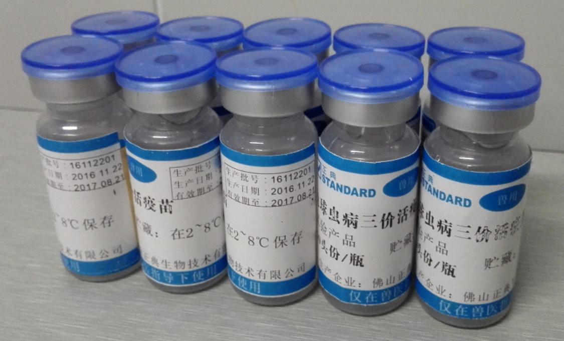 正典生物研制的兔球虫病疫苗中试样品。企业供图.png