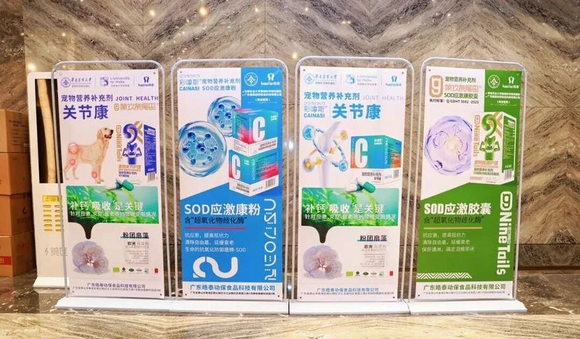 科技兴企破局“它经济”：皓泰如何跑出30%稳健增长？