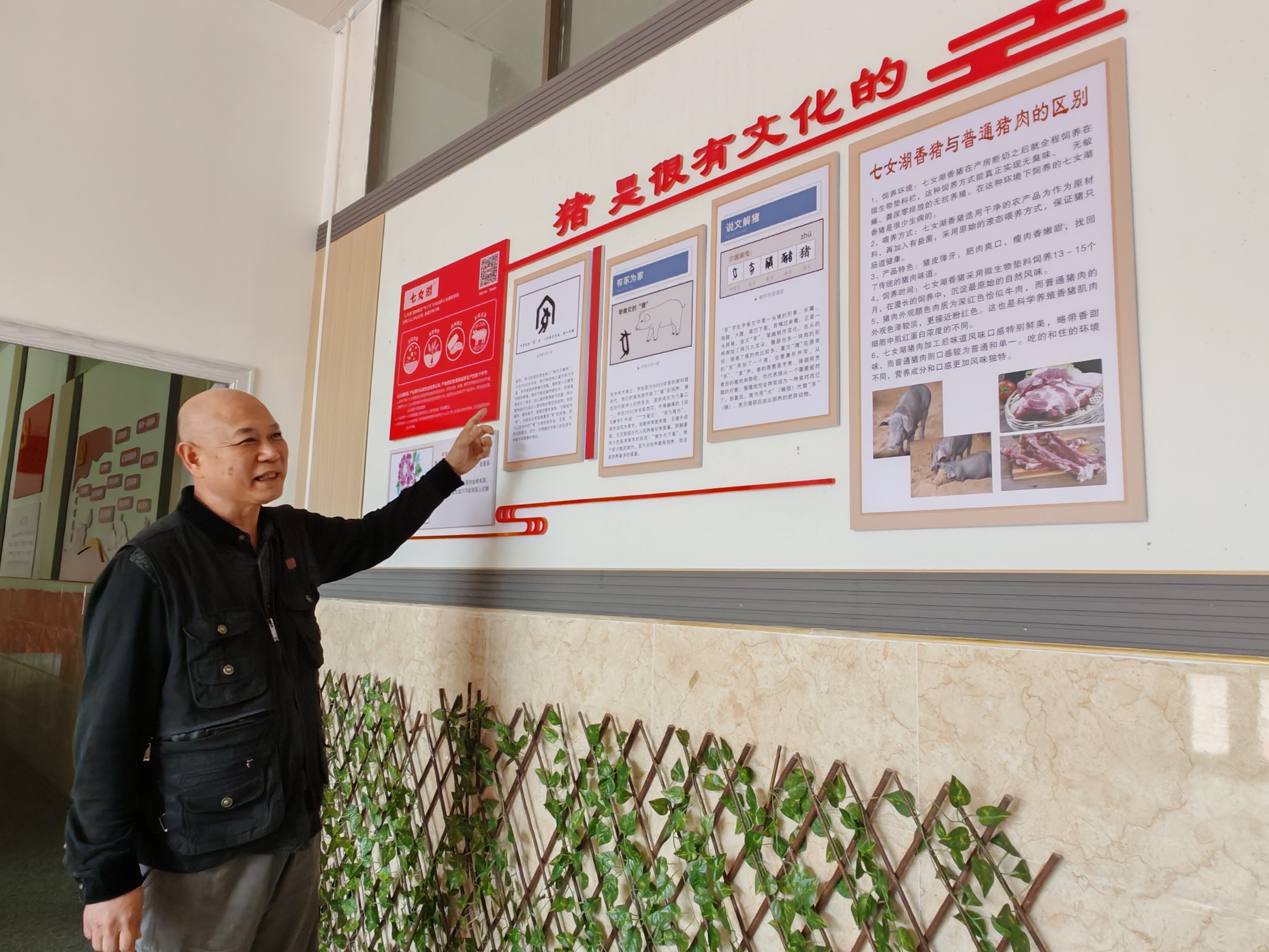 林建强通过延伸休闲农庄产业,宣传猪文化。 林建强通过延伸休闲农庄产业,宣传猪文化。