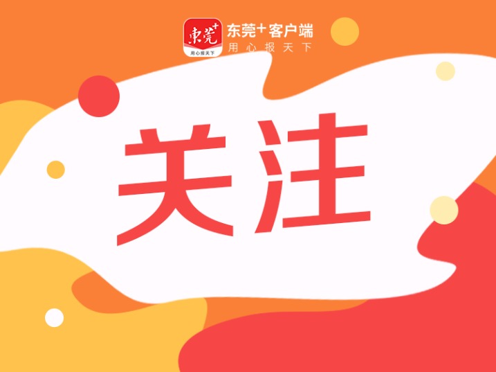 不用跑腿申报！东莞人才首笔生活补贴自动到账