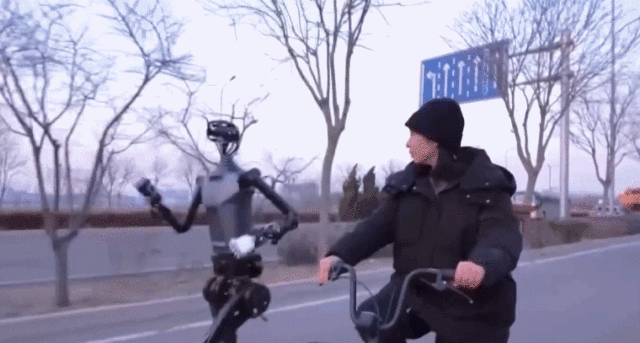 5.gif