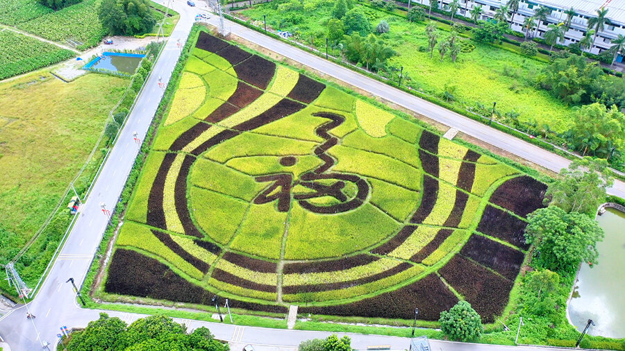 福田镇乡村风景如画。