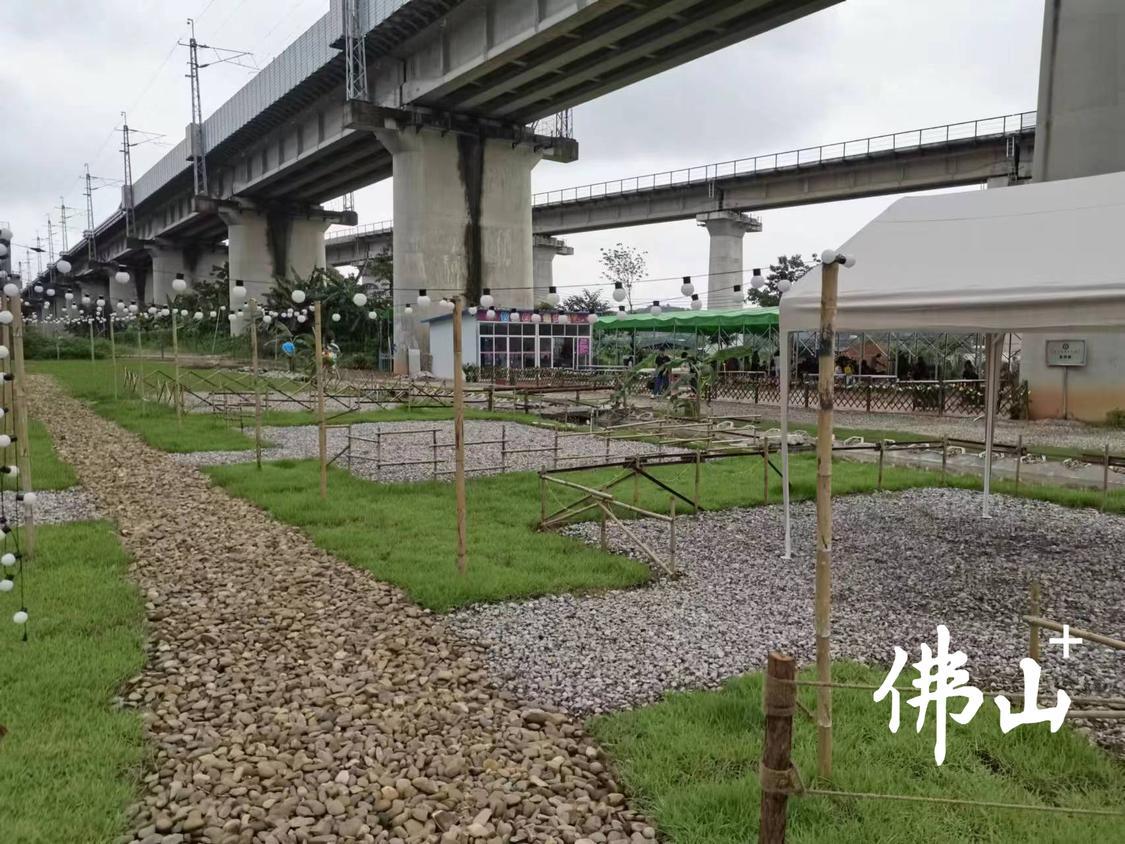 麦园生态园可提供露营服务,让广大市民在这里放松自我。.jpg