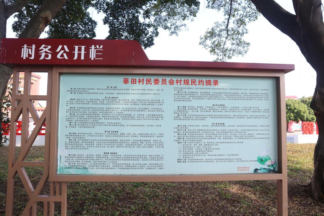 大塘镇莘田村在村务工作栏张贴村规民约。佛山日报记者邵巧玲摄.JPG