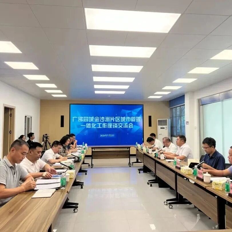 广佛同城金沙洲片区:从“分区管控”迈向“同城共治”