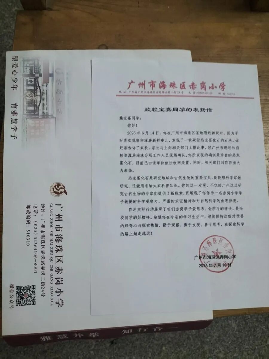 在广州发现恐龙蛋!9岁小学生赖宝嘉,获表扬