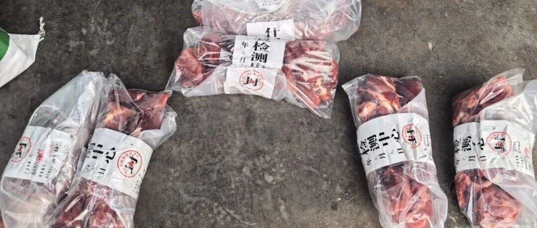 警方突袭一牛肉制假窝点,现场多人正往猪肉上涂抹牛油、牛血冒充牛肉……