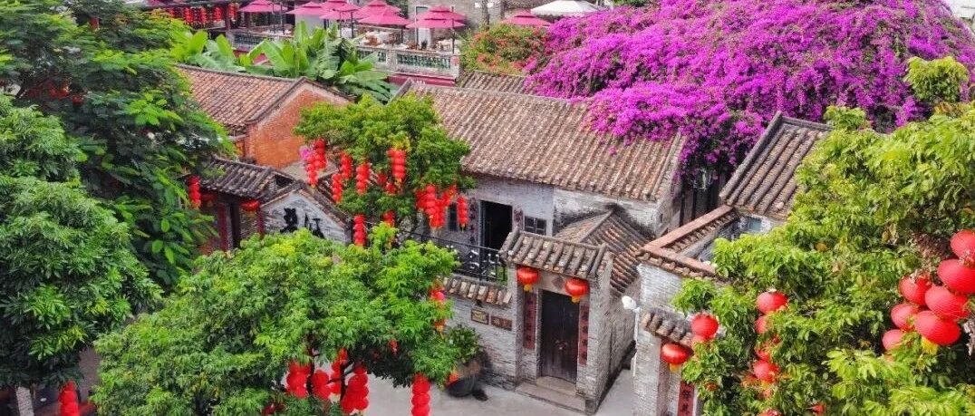 集体收入连上台阶!佛山这个亿元村,有致富新思路