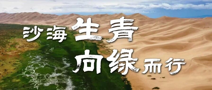 联塑40周年 | 沙海生青，向绿而行