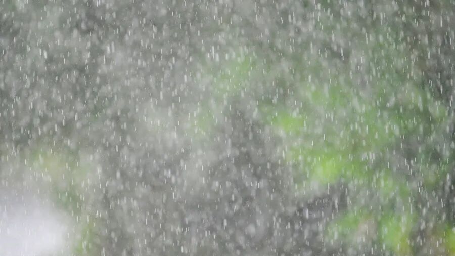 广东，今起有大雨、暴雨！