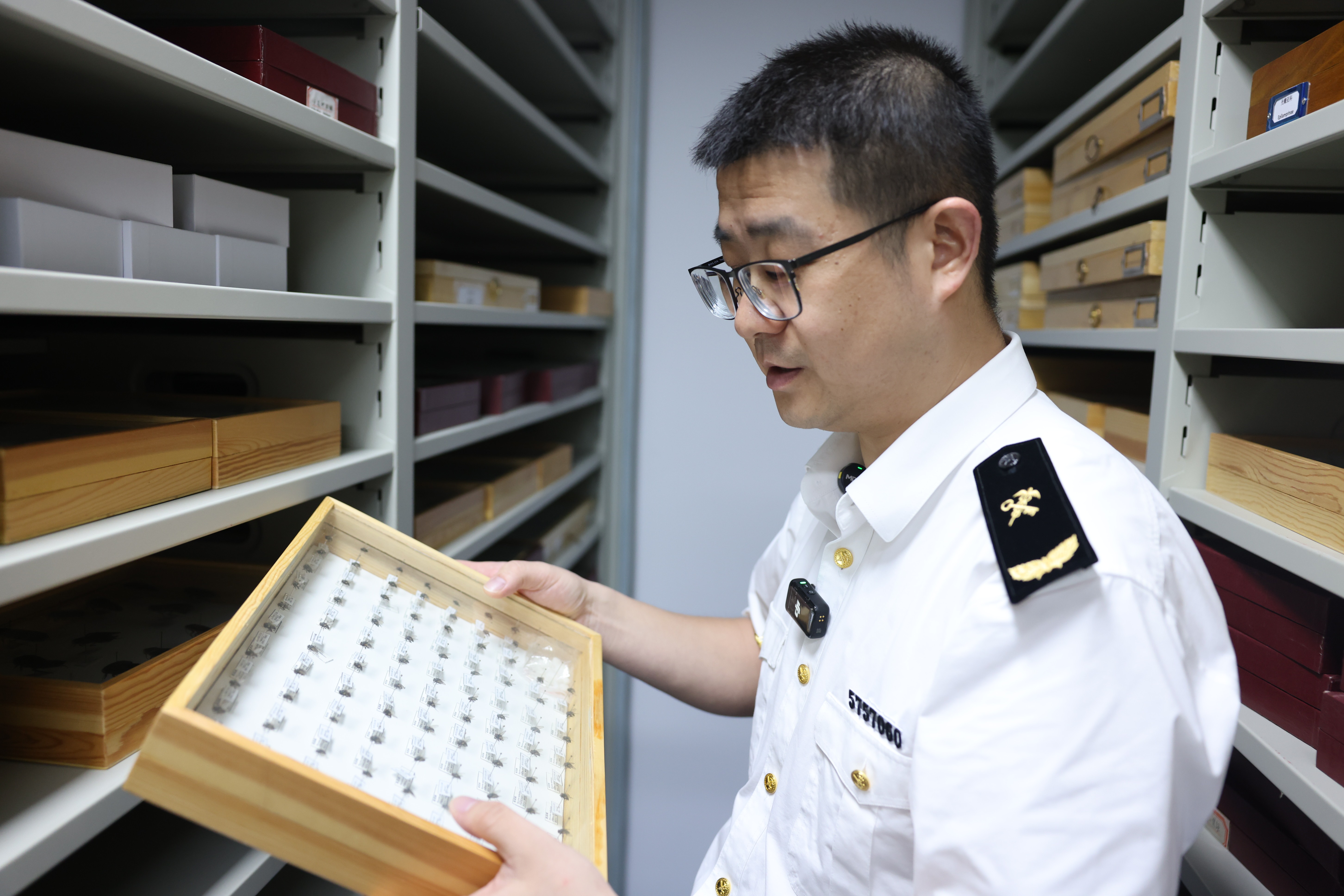 给蚊子拍“证件照”的海关科学家 | 寻找大湾区100位摄影师