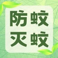 随手倒掉一盆水，断送蚊子“全家桶”！立刻行动 丨 云东海爱卫进行时（103）